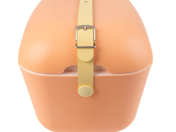 NARANJA-SORBETE-AMARILLO-HEBILLA