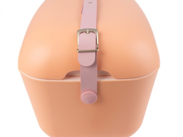NARANJA-ROSA-HEBILLA